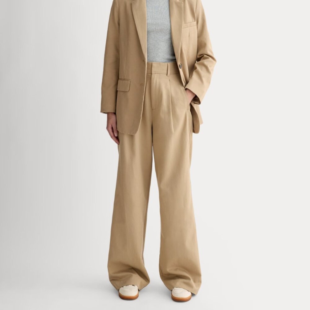 Everlane Draper Pleated Pant